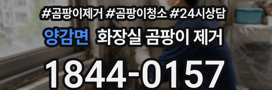 양감면 화장실 곰팡이 제거
