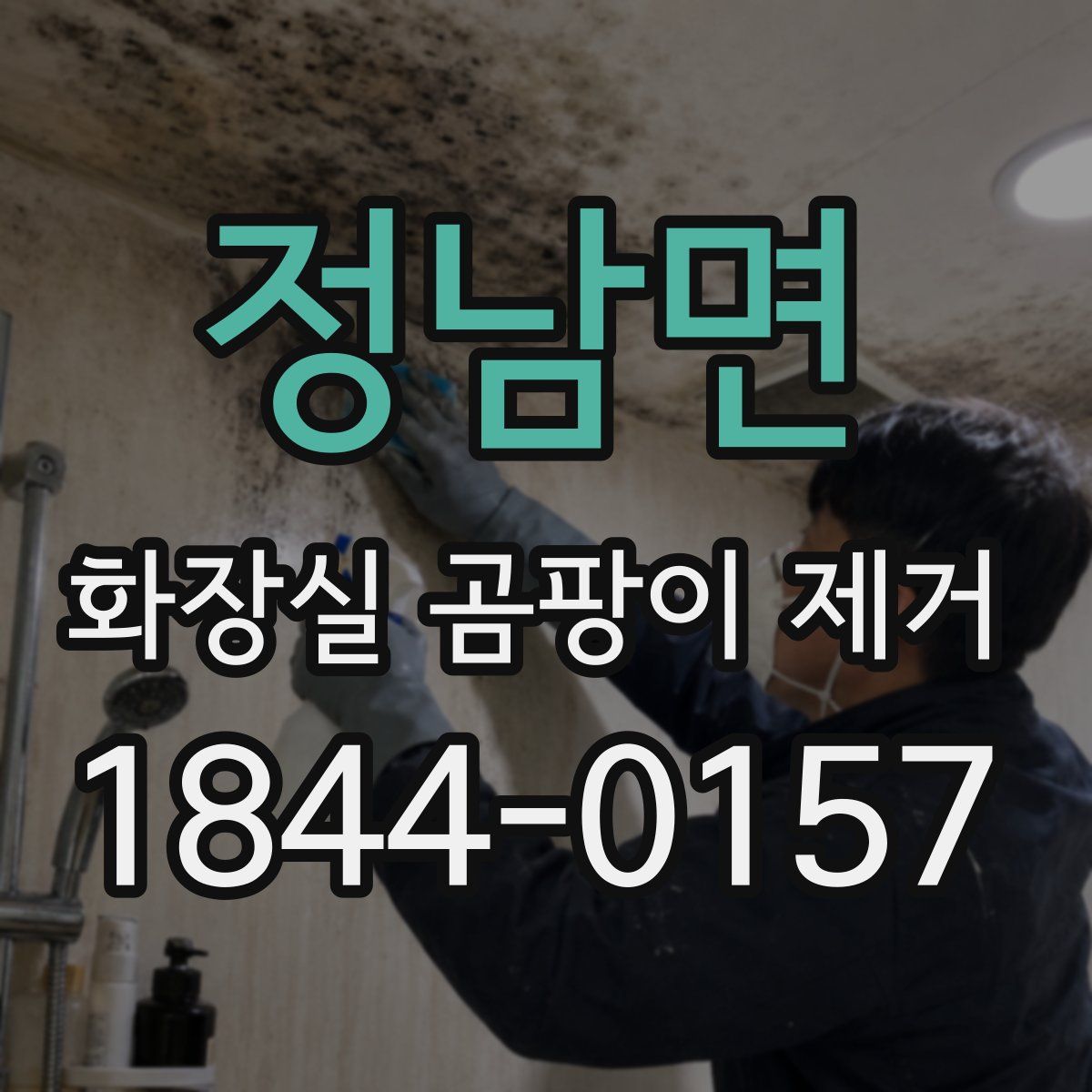정남면 화장실 곰팡이 제거