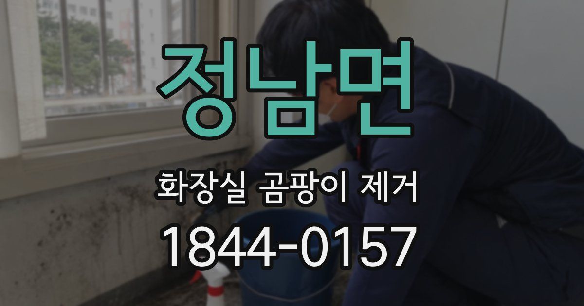 정남면 화장실 곰팡이 제거