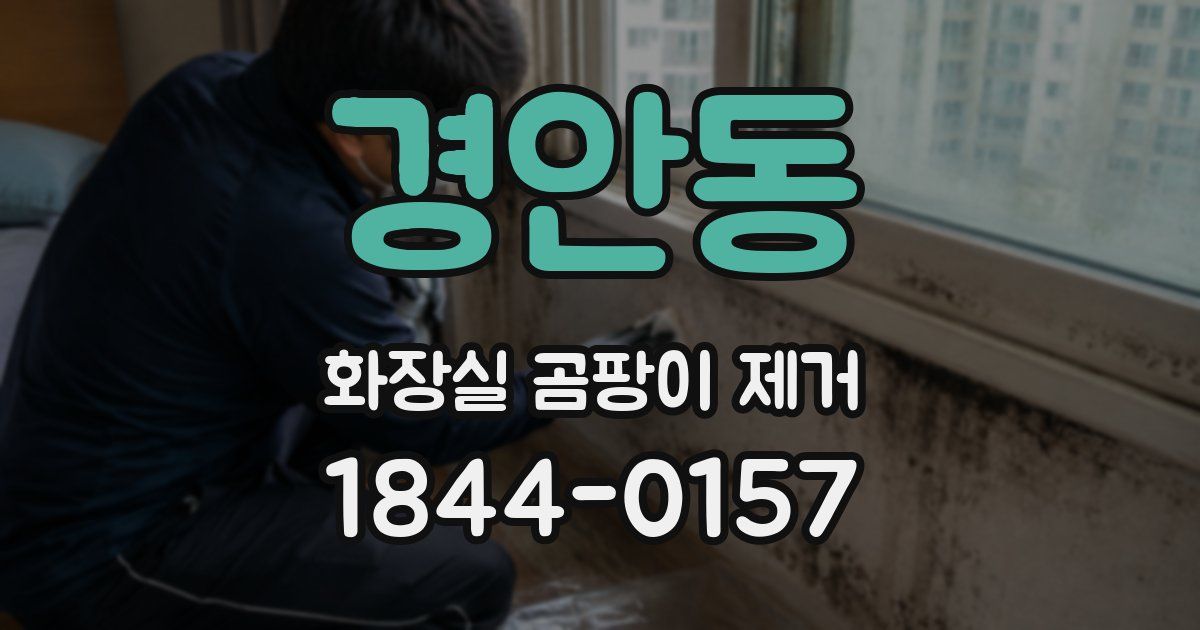 경안동 화장실 곰팡이 제거