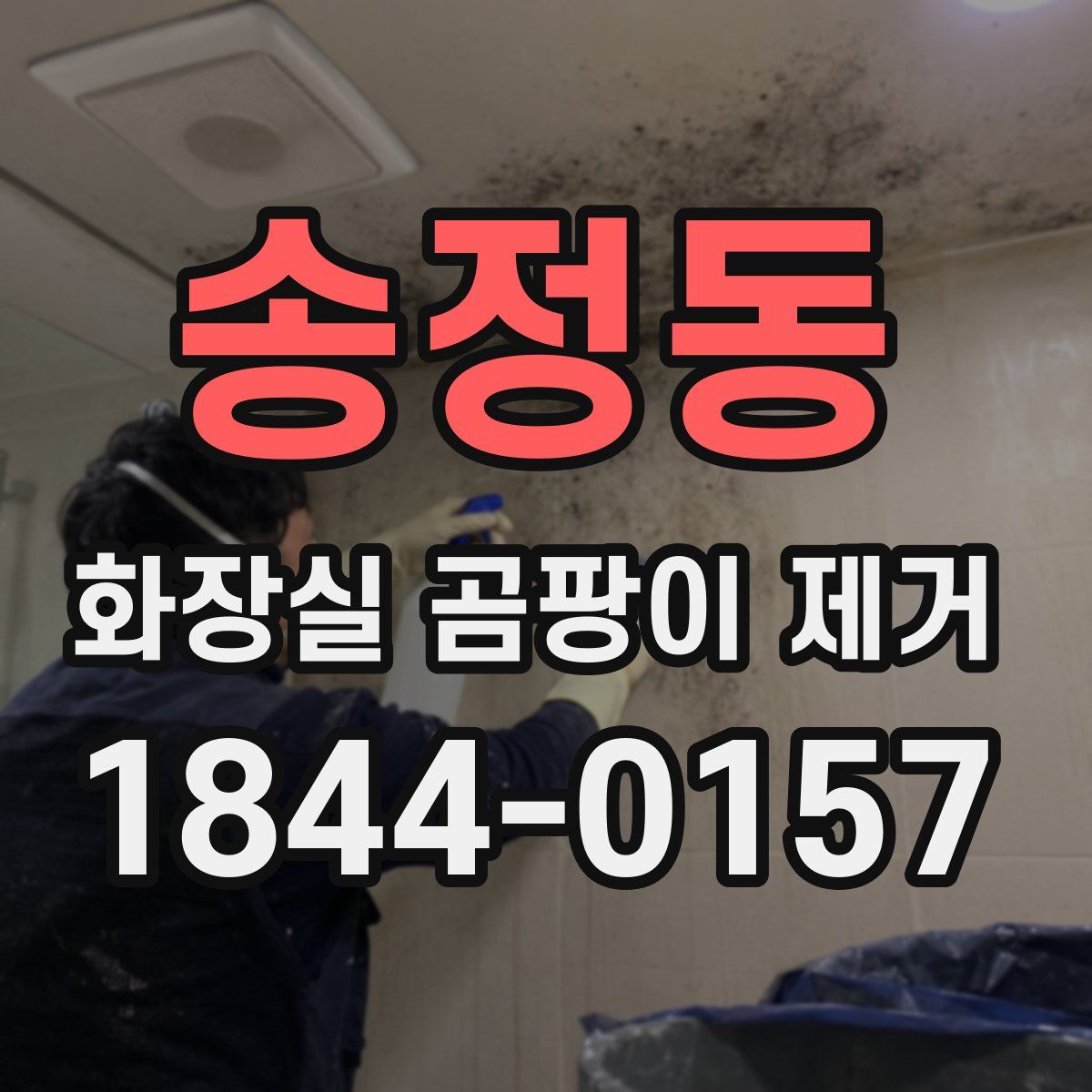 송정동 화장실 곰팡이 제거