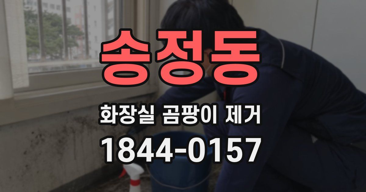 송정동 화장실 곰팡이 제거