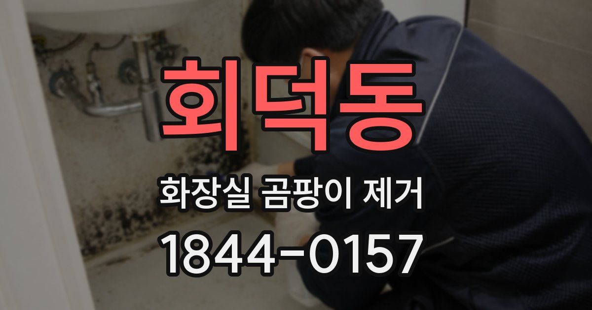 회덕동 화장실 곰팡이 제거