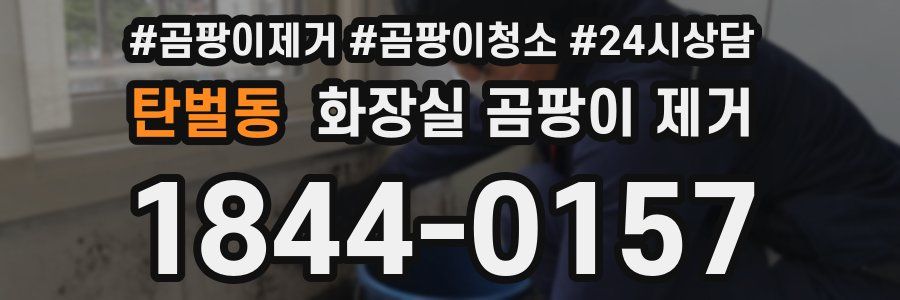 탄벌동 화장실 곰팡이 제거