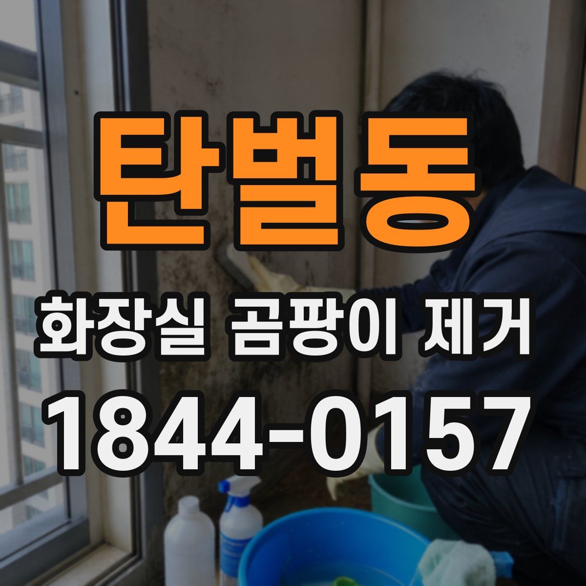탄벌동 화장실 곰팡이 제거