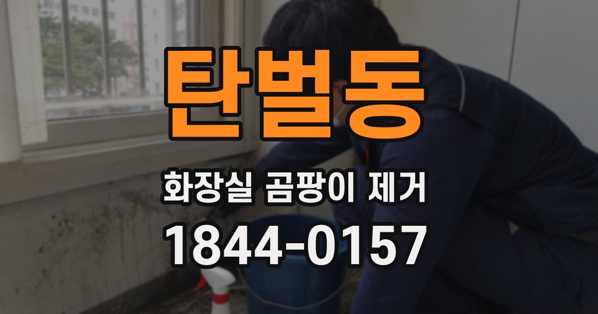 탄벌동 화장실 곰팡이 제거