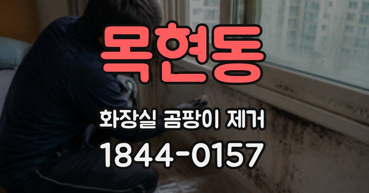 목현동 화장실 곰팡이 제거