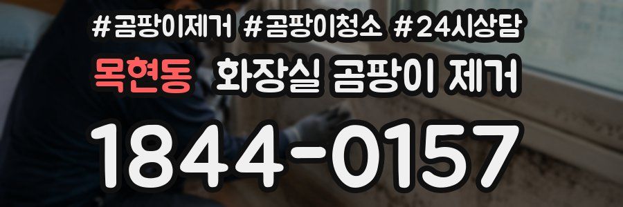 목현동 화장실 곰팡이 제거