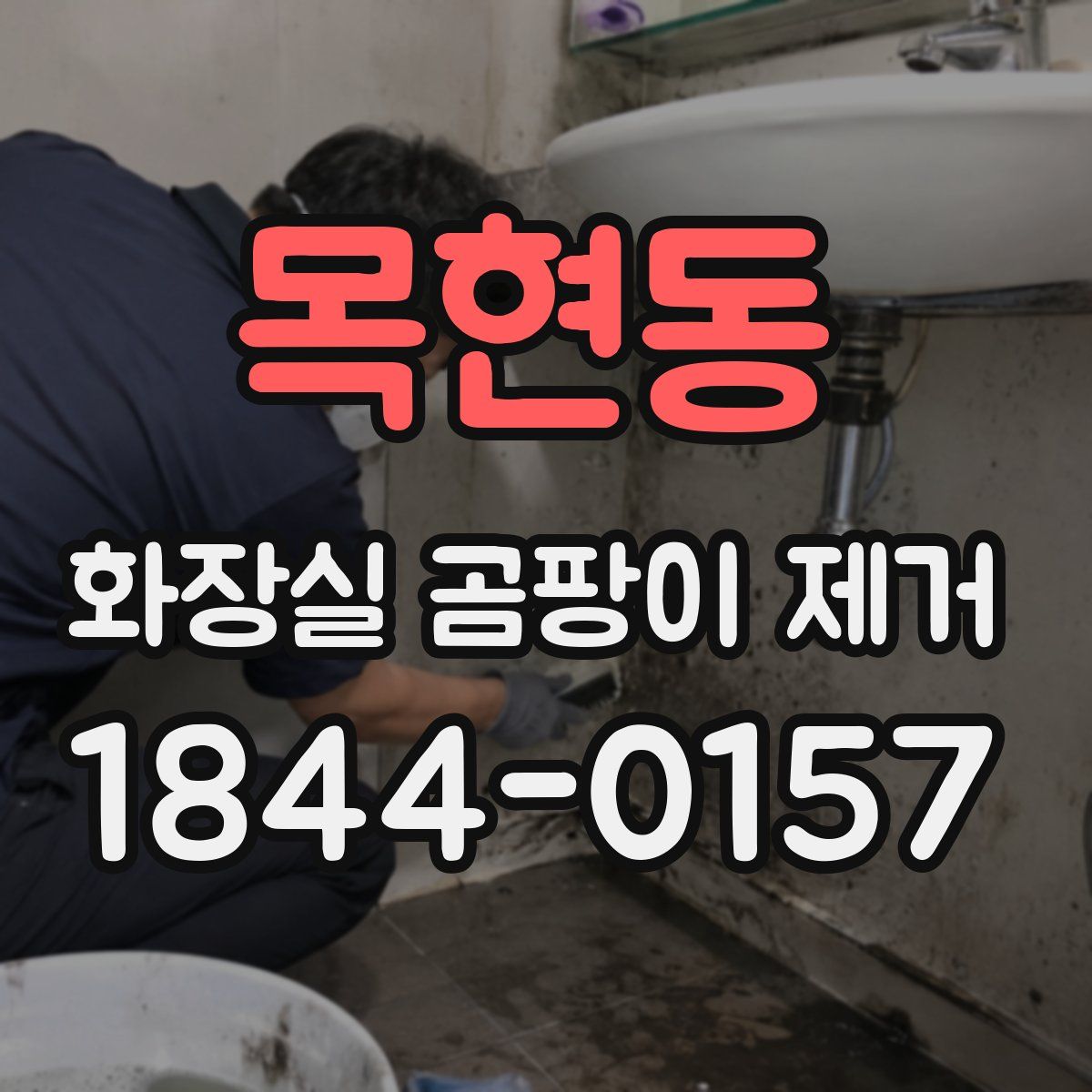 목현동 화장실 곰팡이 제거