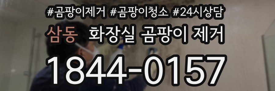 삼동 화장실 곰팡이 제거