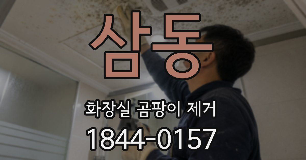 삼동 화장실 곰팡이 제거
