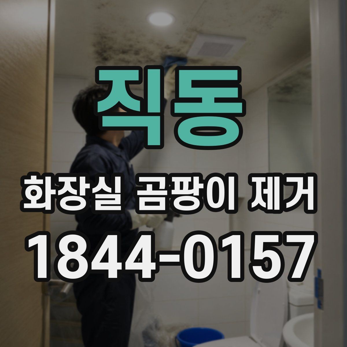 직동 화장실 곰팡이 제거 오래된 얼룩을 다루는 순서