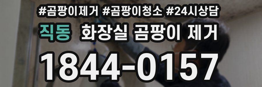 직동 화장실 곰팡이 제거