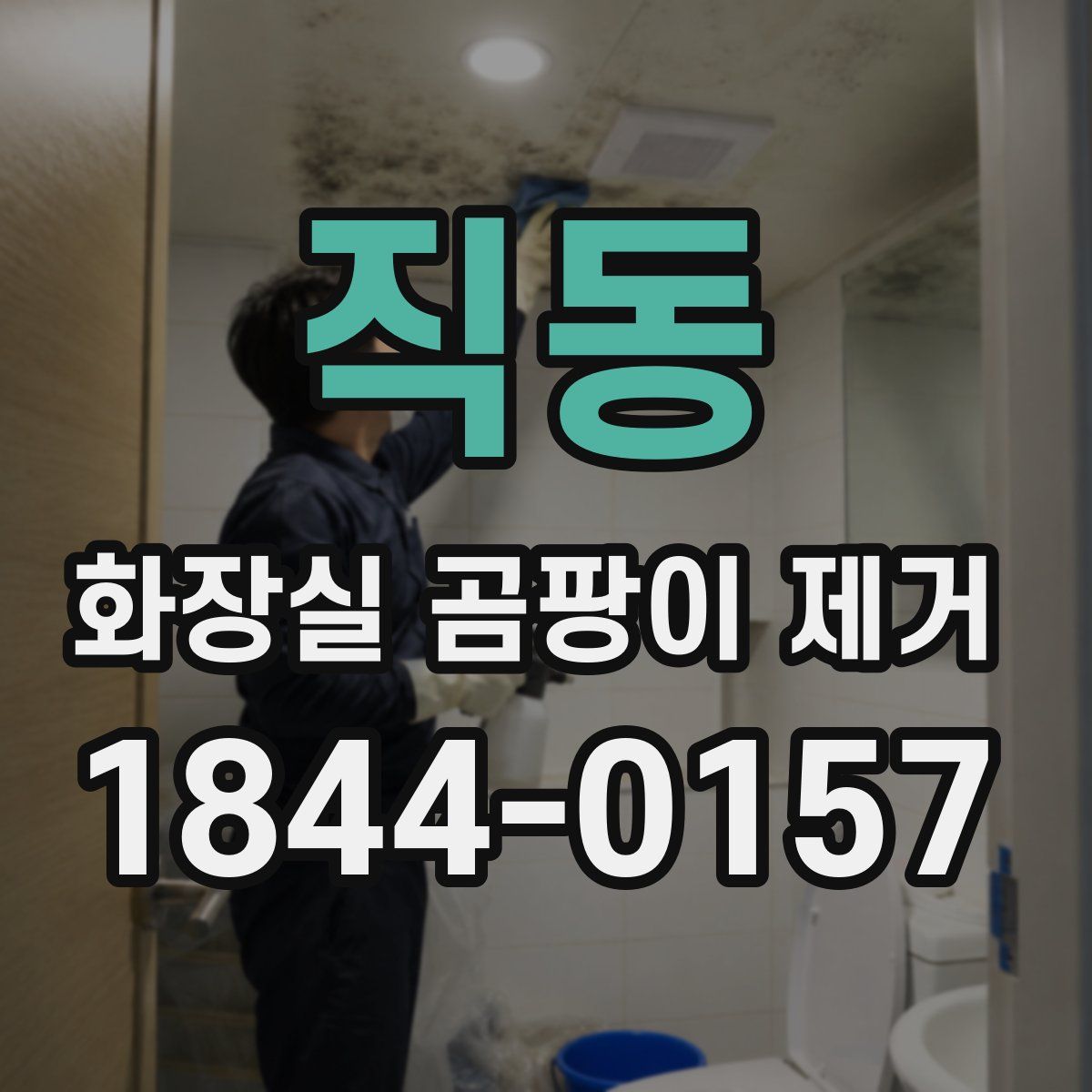 직동 화장실 곰팡이 제거