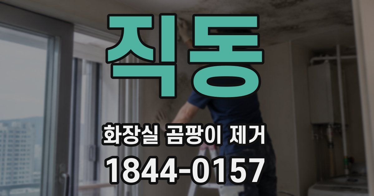 직동 화장실 곰팡이 제거
