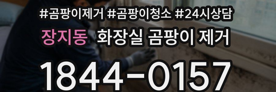 장지동 화장실 곰팡이 제거