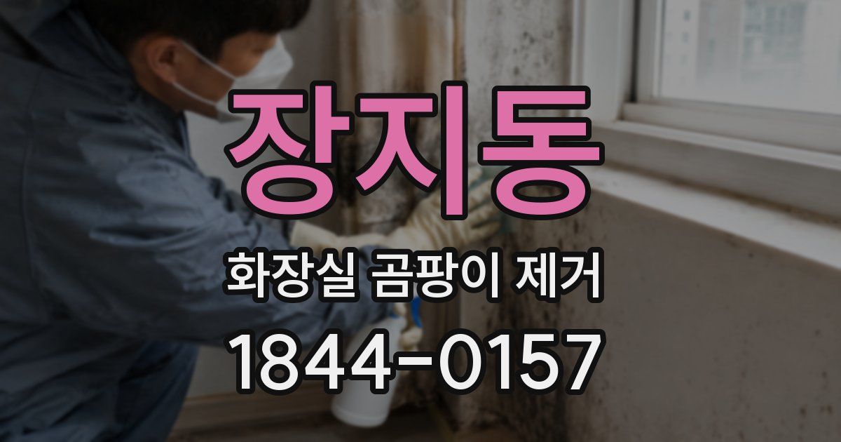 장지동 화장실 곰팡이 제거