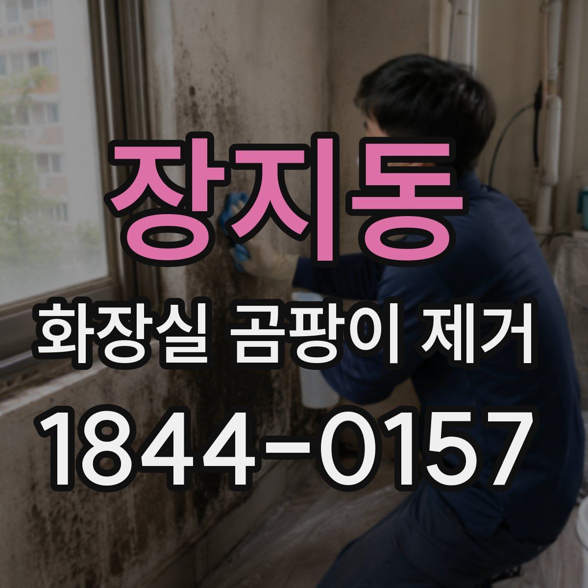장지동 화장실 곰팡이 제거