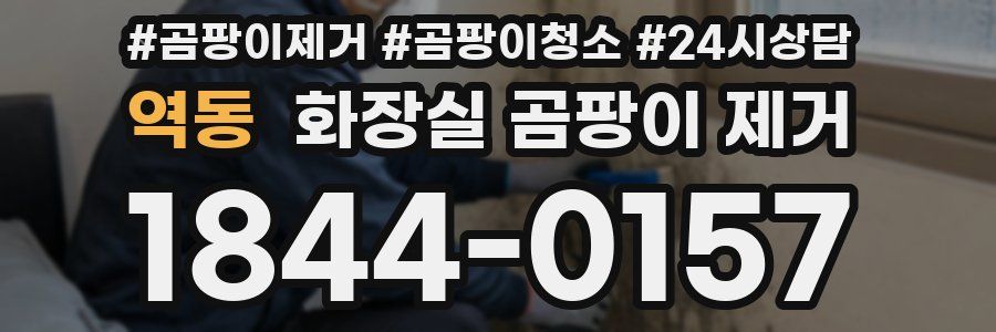 역동 화장실 곰팡이 제거