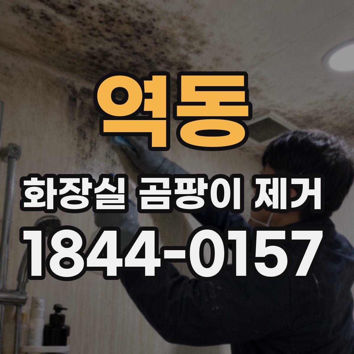 역동 화장실 곰팡이 제거