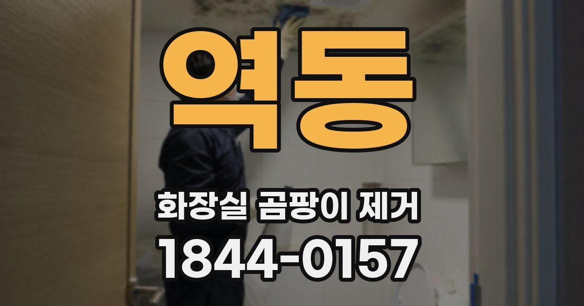 역동 화장실 곰팡이 제거