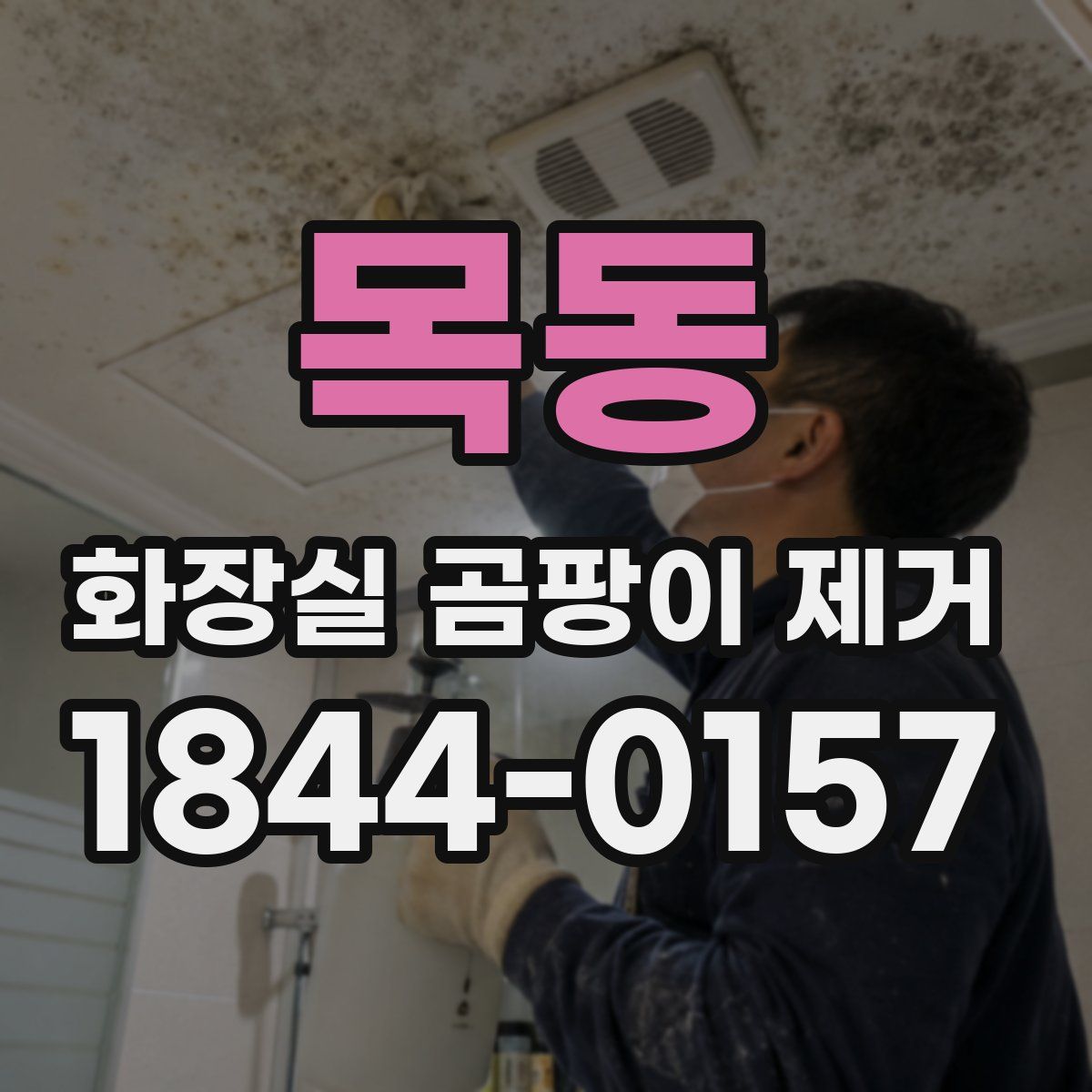 목동 화장실 곰팡이 제거
