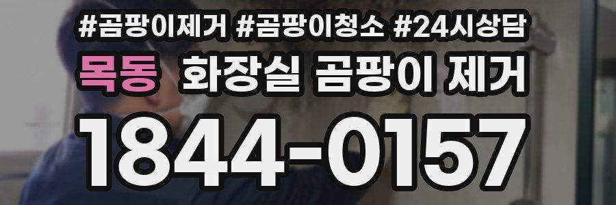 목동 화장실 곰팡이 제거
