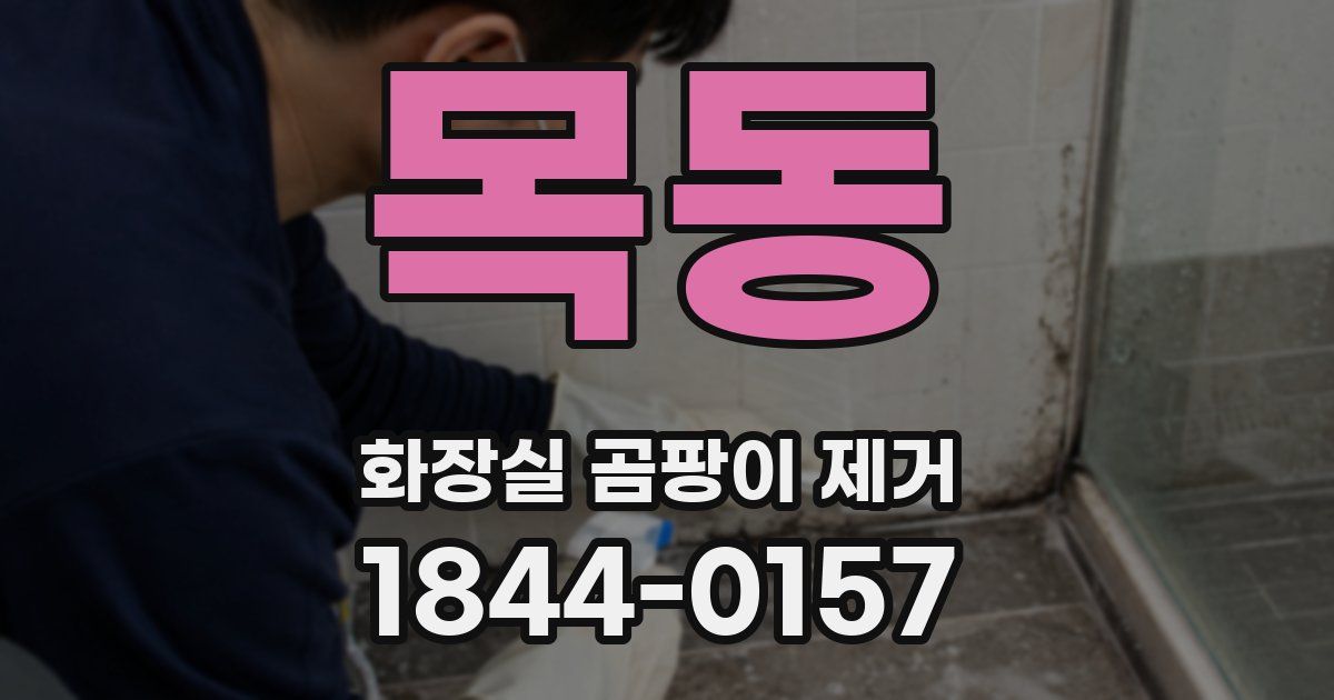 목동 화장실 곰팡이 제거