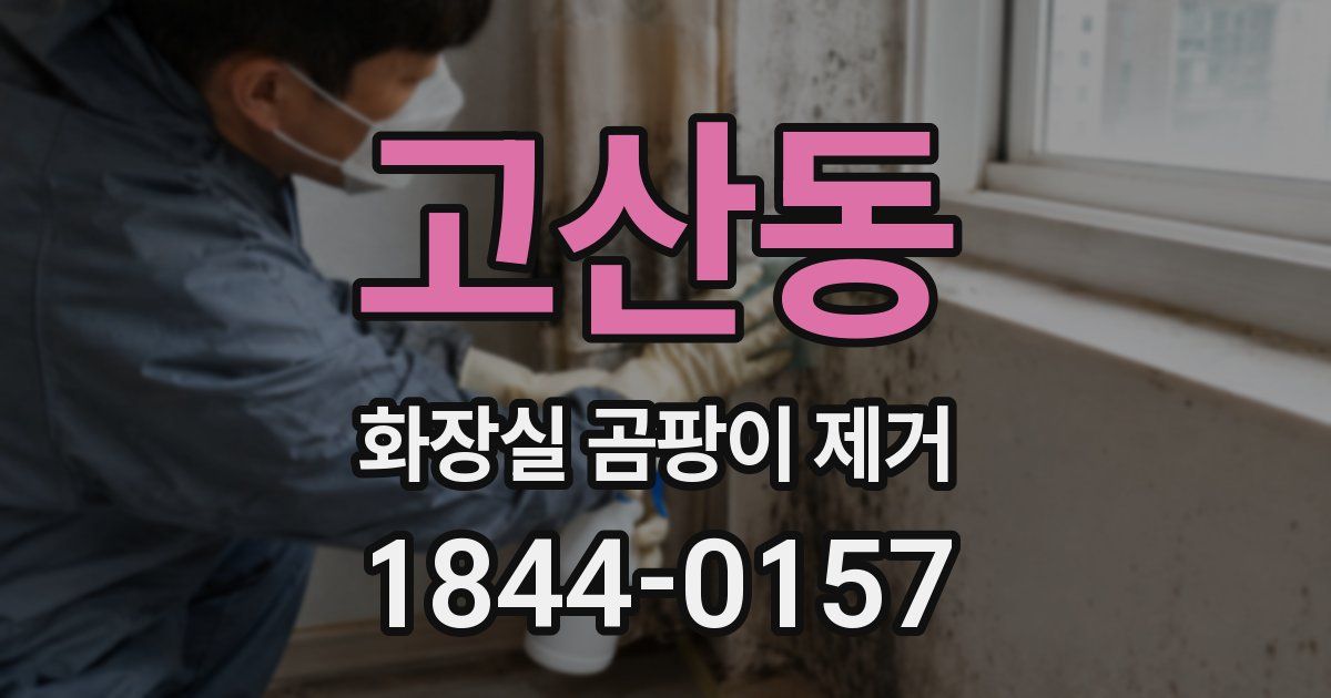 고산동 화장실 곰팡이 제거