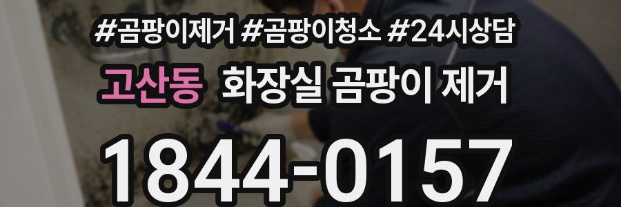 고산동 화장실 곰팡이 제거
