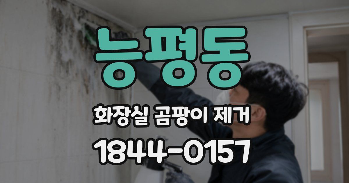 능평동 화장실 곰팡이 제거