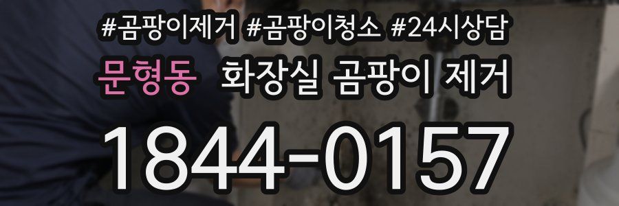 문형동 화장실 곰팡이 제거
