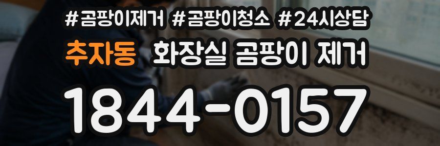 추자동 화장실 곰팡이 제거