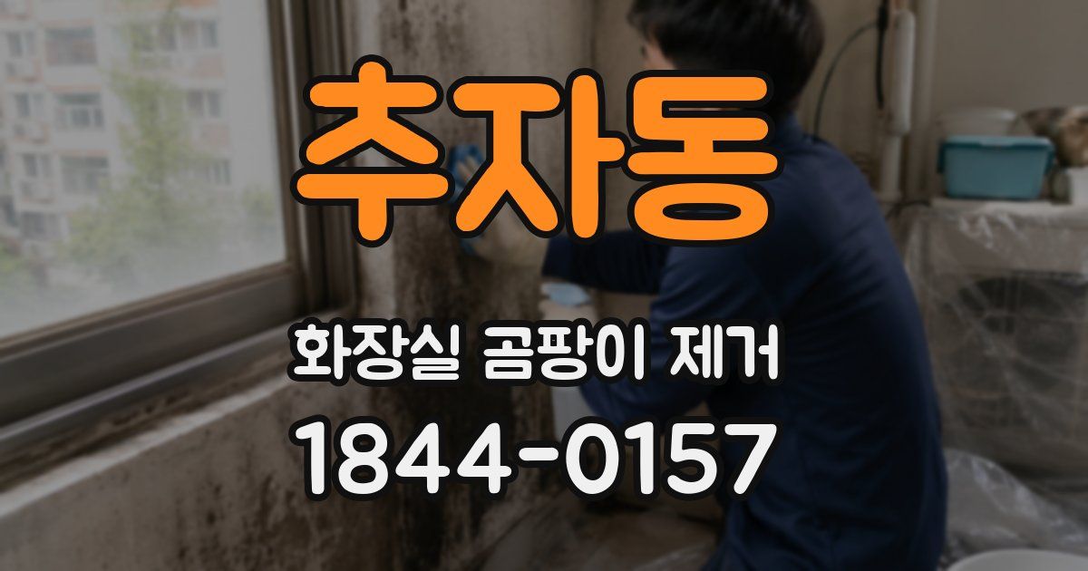 추자동 화장실 곰팡이 제거
