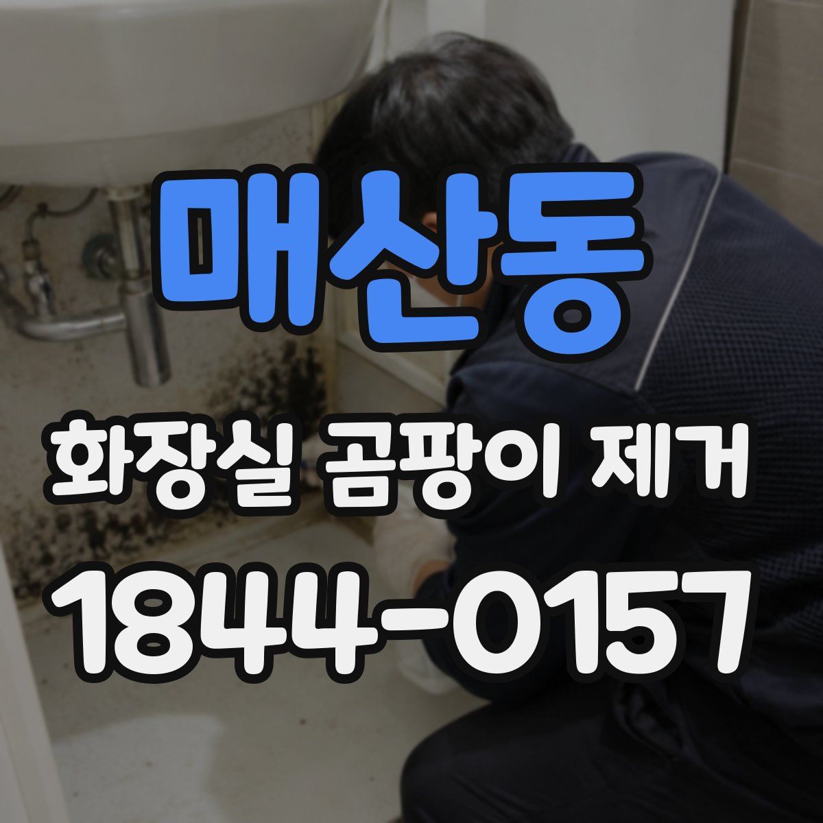 매산동 화장실 곰팡이 제거