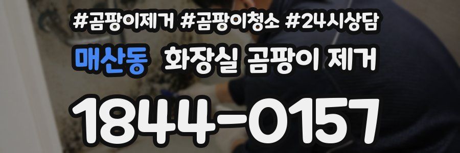 매산동 화장실 곰팡이 제거