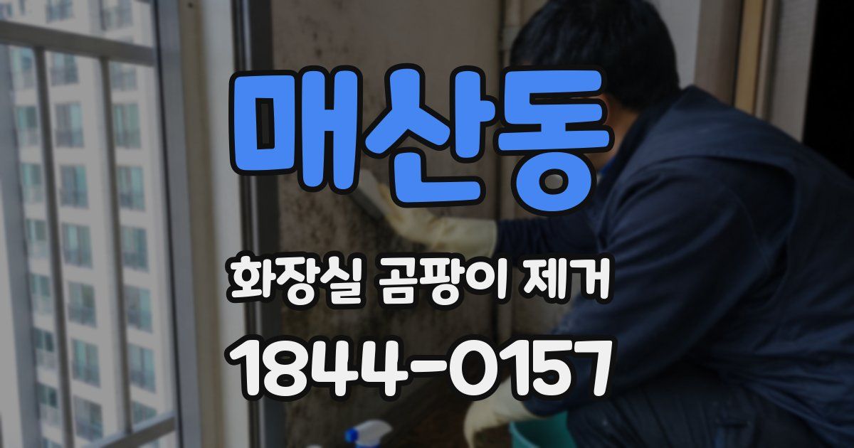 매산동 화장실 곰팡이 제거