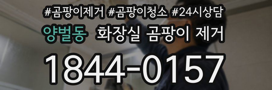 양벌동 화장실 곰팡이 제거