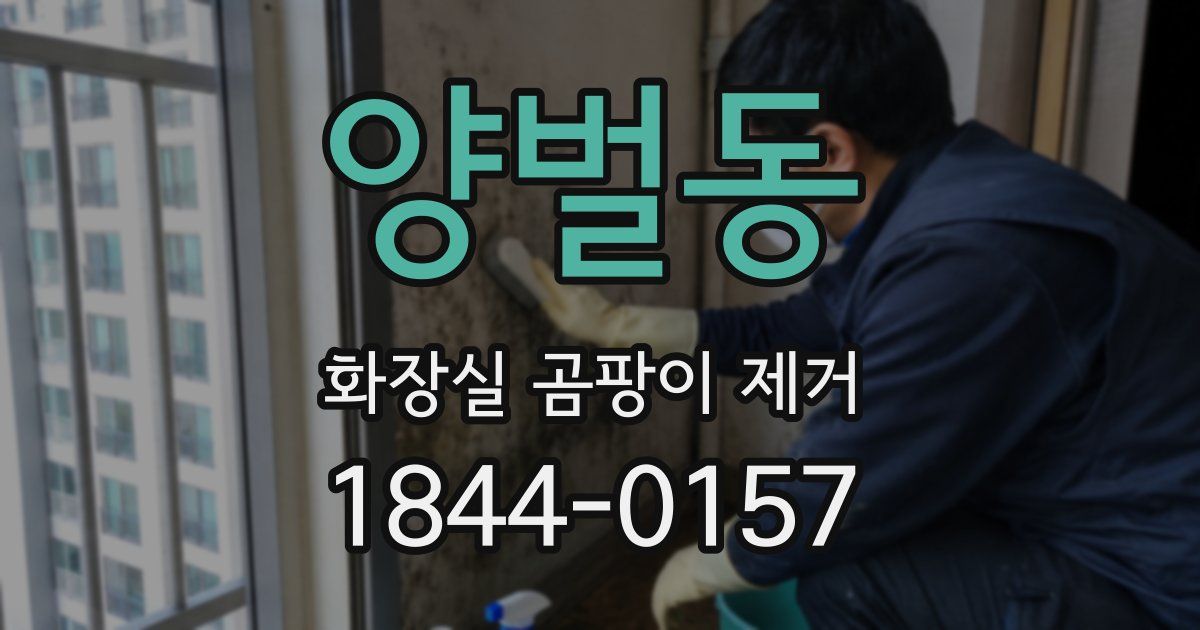 양벌동 화장실 곰팡이 제거