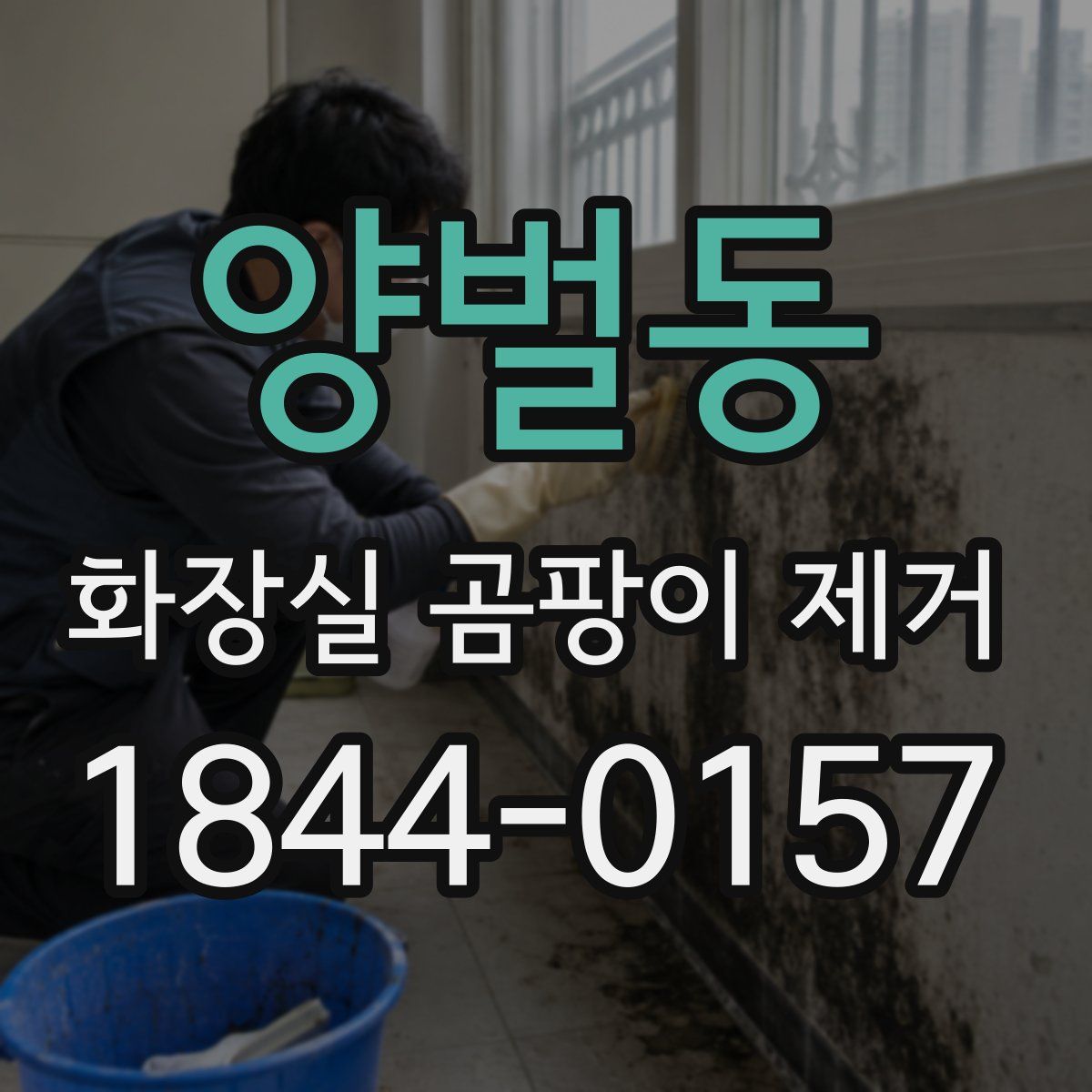 양벌동 화장실 곰팡이 제거