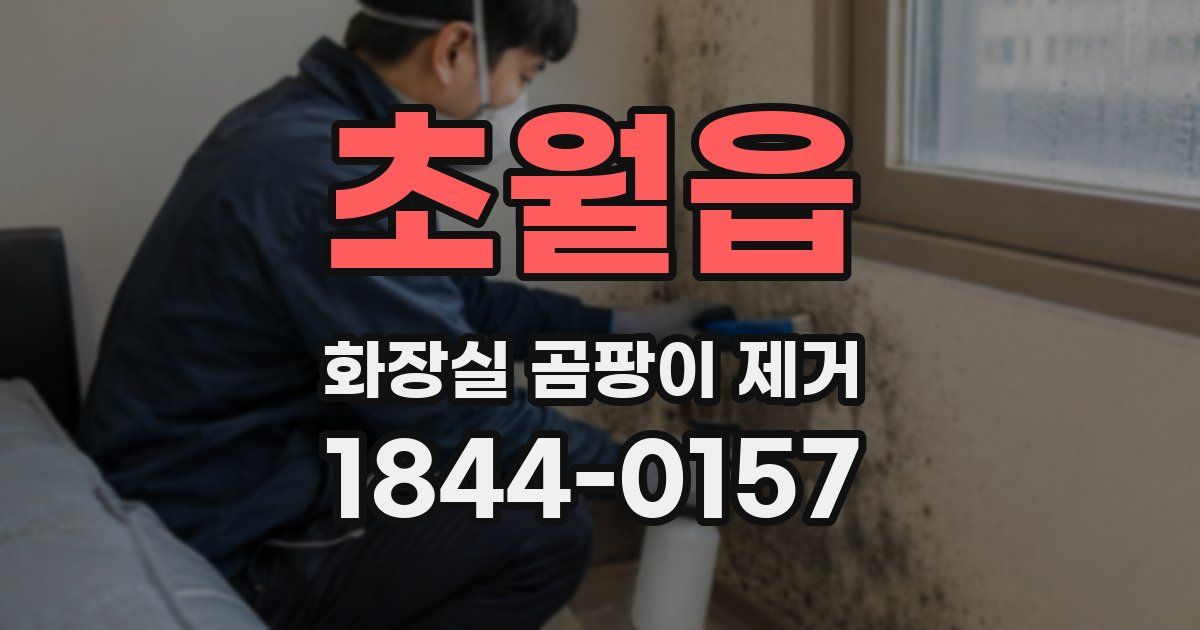 초월읍 화장실 곰팡이 제거