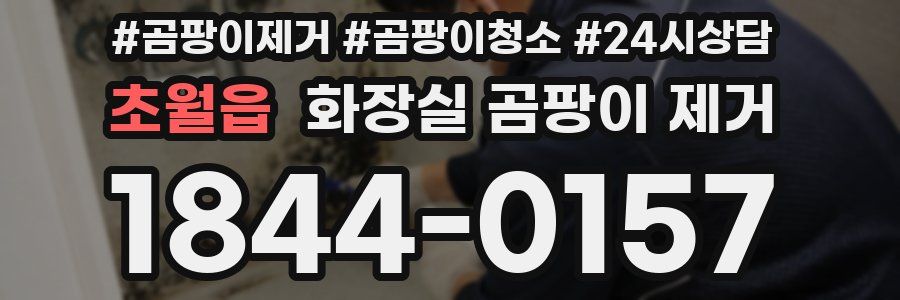 초월읍 화장실 곰팡이 제거