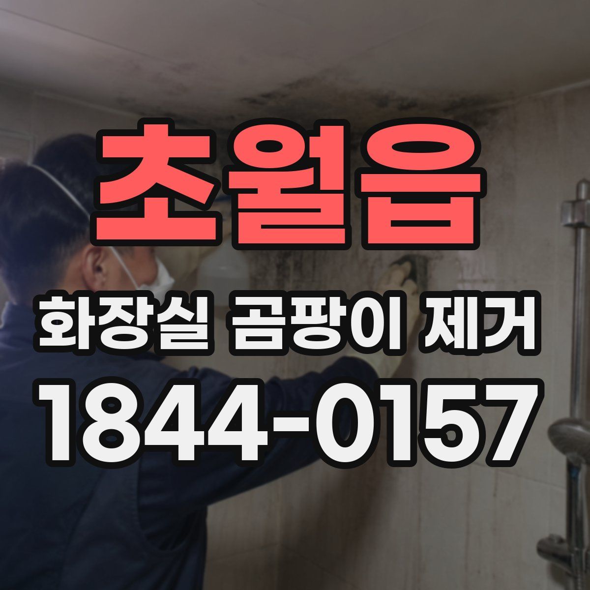 초월읍 화장실 곰팡이 제거