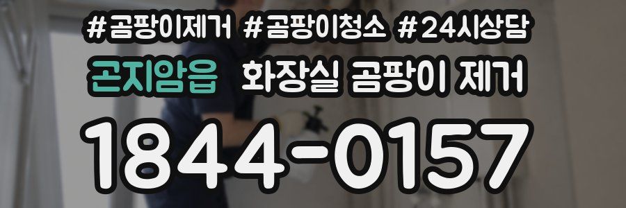 곤지암읍 화장실 곰팡이 제거