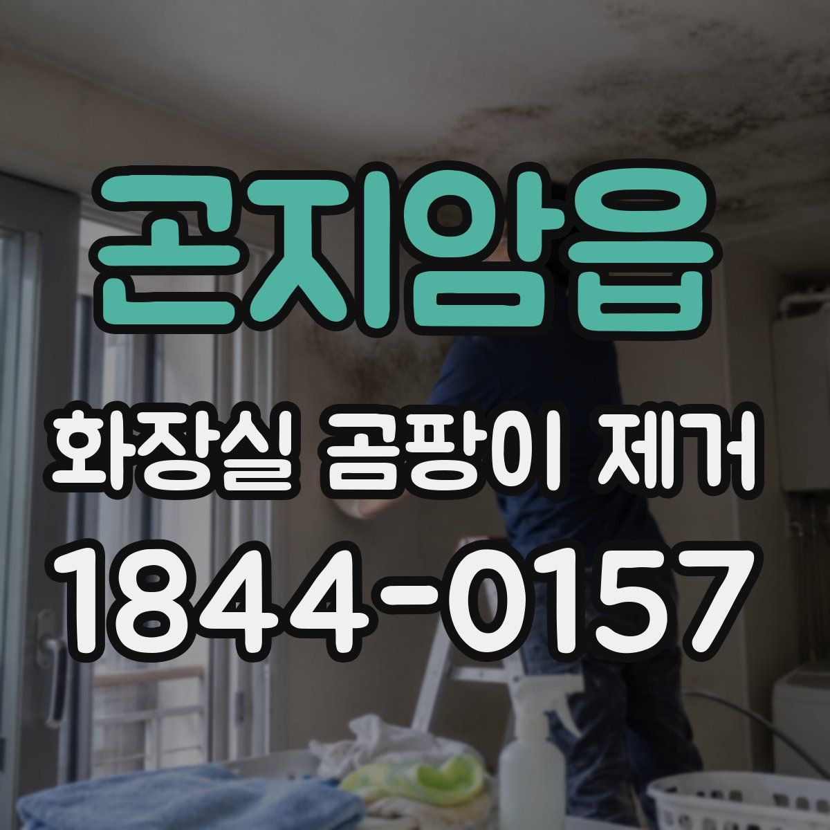 곤지암읍 화장실 곰팡이 제거