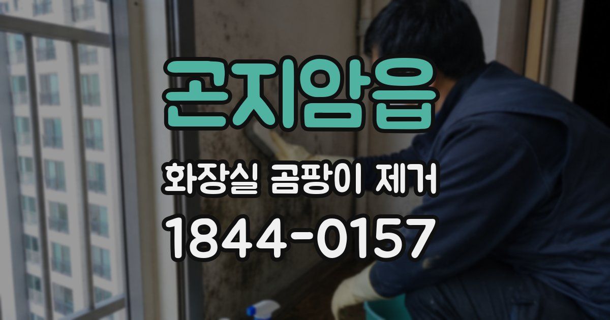 곤지암읍 화장실 곰팡이 제거