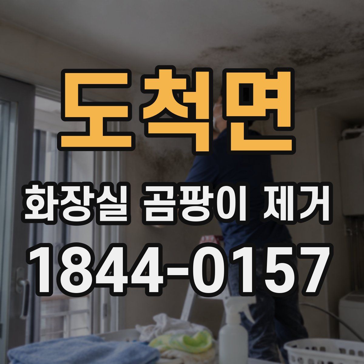 도척면 화장실 곰팡이 제거