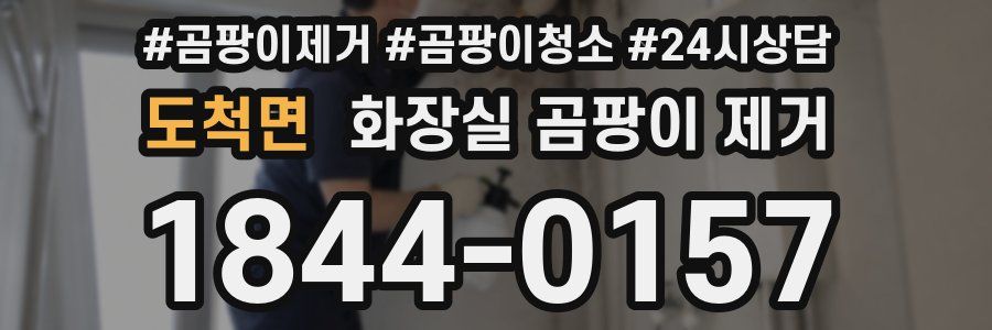 도척면 화장실 곰팡이 제거