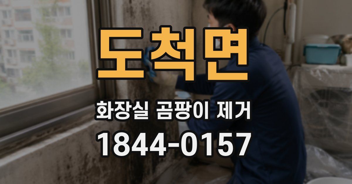 도척면 화장실 곰팡이 제거