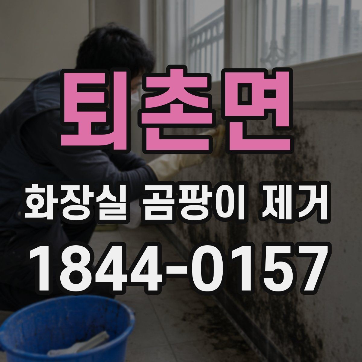 퇴촌면 화장실 곰팡이 제거 셀프 청소로 한계가 느껴질 때 살필 점